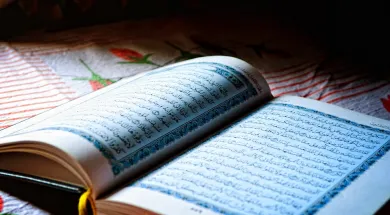 Австрия закроет семь мечетей за нарушение закона об исламе