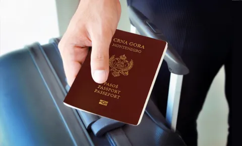 Черногория предоставила гражданство создателю криптовалюты российского происхождения