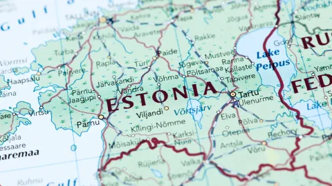 Рабочая виза в Эстонии