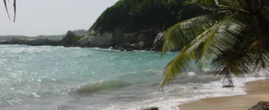 Туристическая виза в Доминику
